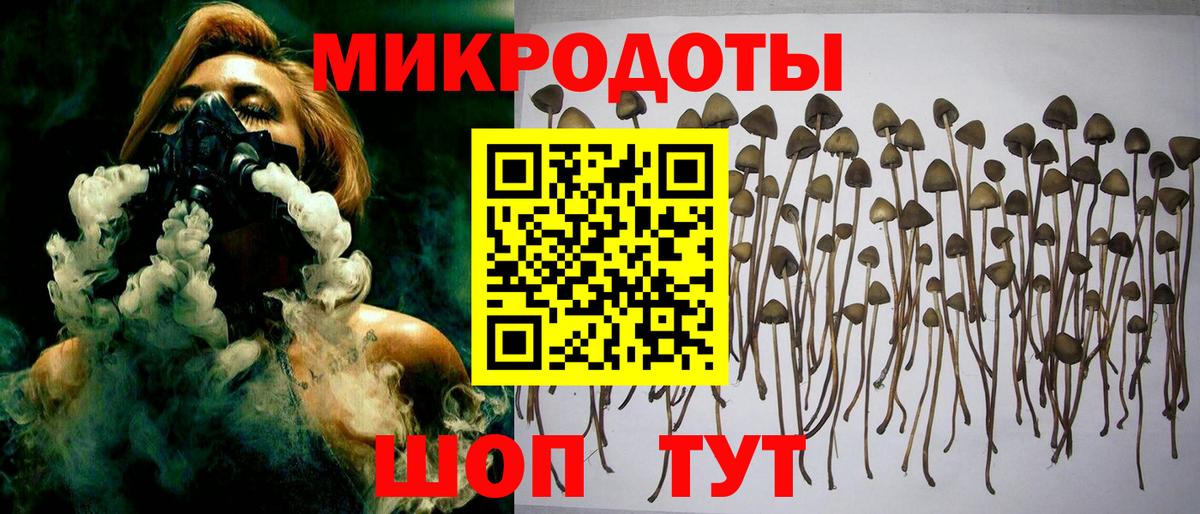 Белореченск  Псилоцибиновые грибы прущие грибы  Вход с VPN  Псилоцибиновые грибы мицелий 