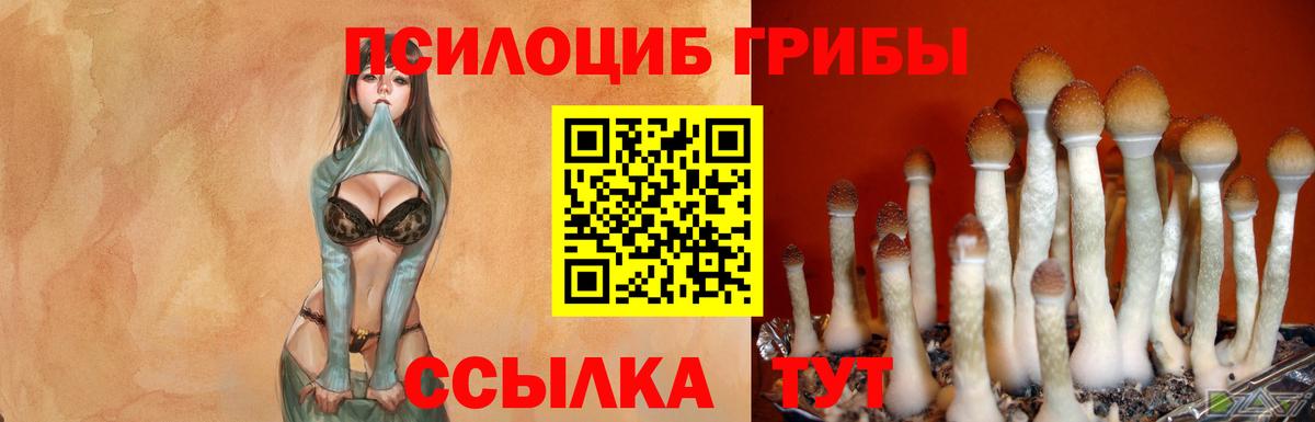 Галлюциногенные грибы прущие грибы Белореченск