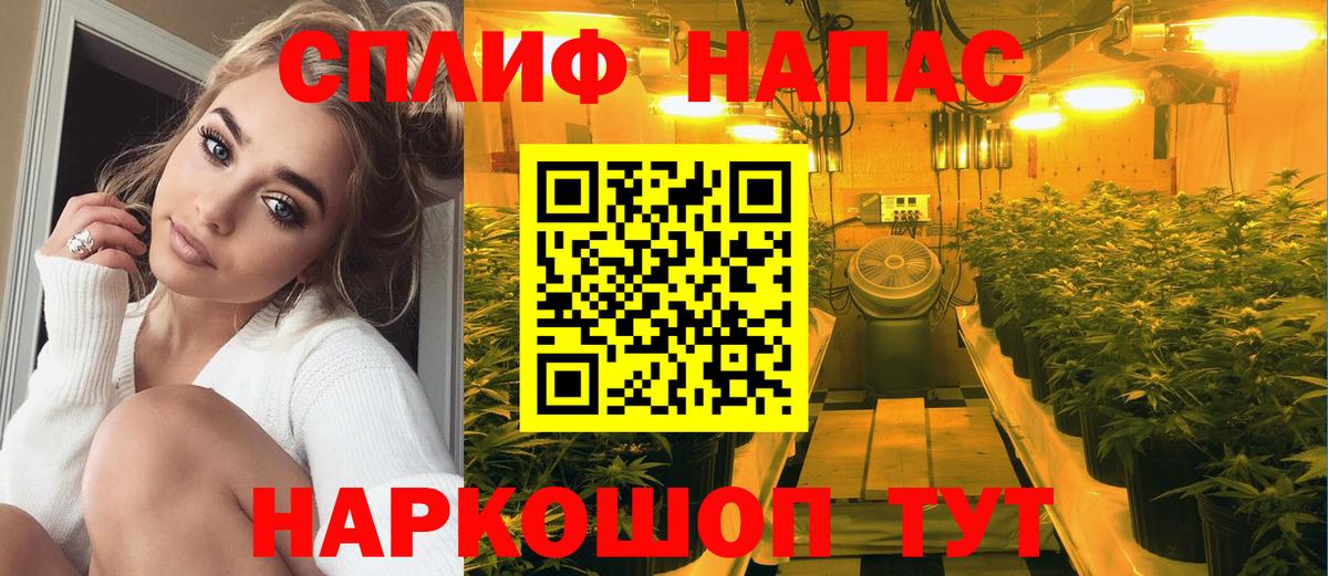 Канабис планчик  Вход с VPN  Белореченск  Марихуана Amnesia  Марихуана план 